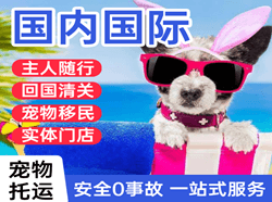 锦州湾机场快运国际宠物托运 【国